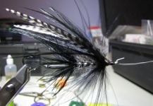 Oscar Guevea 's Fly for Brown trout - Picture – Fly dreamers 