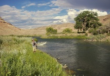 Good Fly-fishing Situation Pic by Pancho Winter 