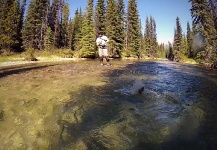 Interesting Fly-fishing Situation Image by Andrew Hardingham 