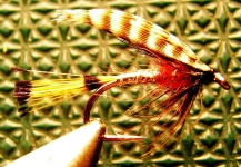 Facundo Baccani 's Sweet Fly-tying Pic – Fly dreamers 