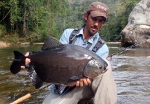 Alejandro Bianchetti 's Fly-fishing Pic of a Pacu – Fly dreamers 