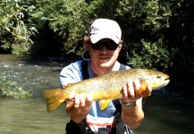 Fly-fishing Picture of Brown trout shared by Massimo Sodi – Fly dreamers