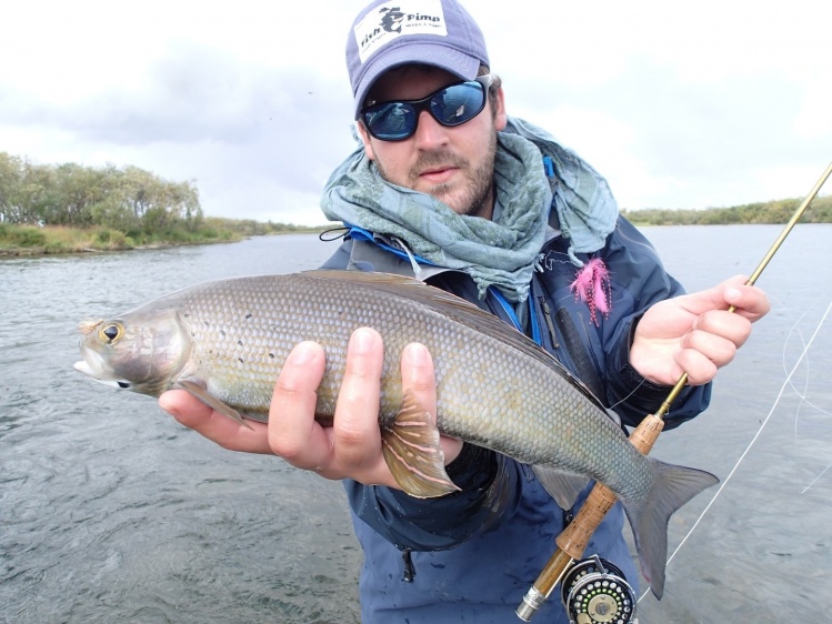 Greyling, una de las pescas mas divertidas fue esta con cana 00 y moscas secas, impresionante como suben a la mosca y salen completamente afuera del agua con la aleta dorzal parada y toman la mosca que viene patinando.