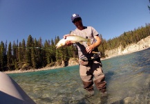 Fly-fishing Photo of Cutthroat shared by Andrew Hardingham – Fly dreamers 