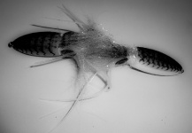  Imagen de atado de moscas para Otras especies por Henkie Altena – Fly dreamers