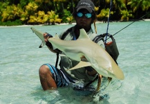 Felipe Morales 's Fly-fishing Catch of a Sharks – Fly dreamers 