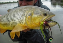  Captura de Pesca con Mosca de Dorado por Martin Ruiz – Fly dreamers