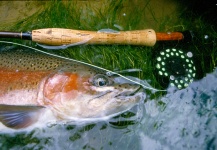  Fotografía de Pesca con Mosca de Cutthroat por Jimbo Busse – Fly dreamers 