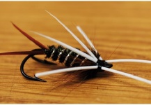  Mira esta fotografía de atado de moscas para Spotted sea trout de CIRCO STUDIO Producciones – Fly dreamers