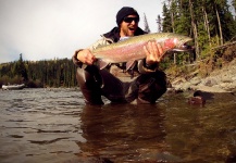 Andrew Hardingham 's Fly-fishing Photo of a Steelhead – Fly dreamers 