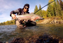 Andrew Hardingham 's Fly-fishing Pic of a Steelhead – Fly dreamers 