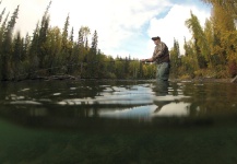 Fly-fishing Situation Image shared by Andrew Hardingham | Fly dreamers