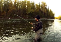 Nice Fly-fishing Situation of Steelhead shared by Andrew Hardingham 