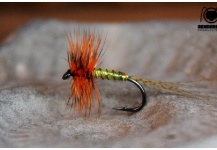 Cool Fly-tying Image by CIRCO STUDIO Producciones 