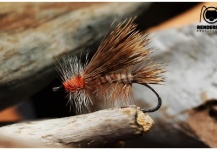 Fly-tying for Brown trout - Photo shared by CIRCO STUDIO Producciones – Fly dreamers 