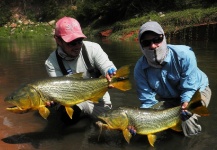 Fly-fishing Photo of Golden Dorado shared by Leandro Coutteret – Fly dreamers 