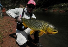 Fly-fishing Pic of Golden Dorado shared by Leandro Coutteret – Fly dreamers 