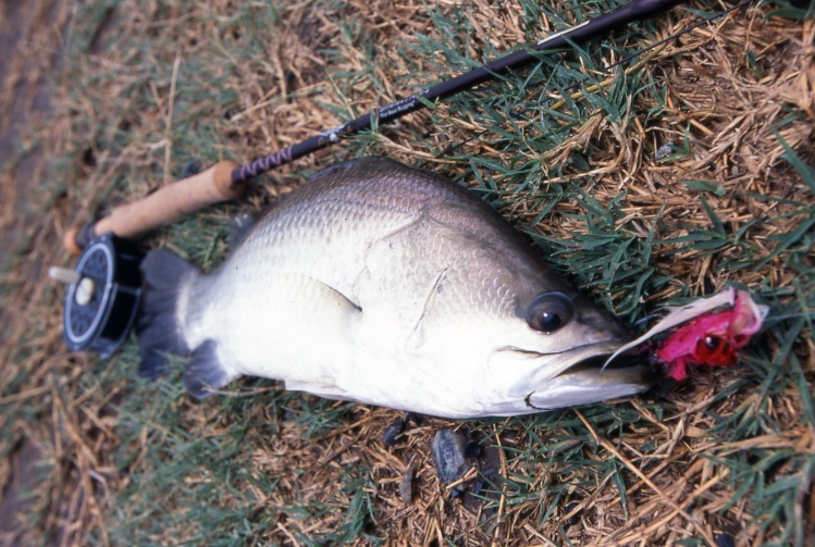 Barra at paypond in bangkok.