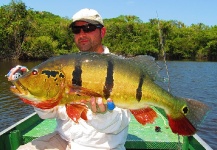 Cristian Mammi 's Fly-fishing Photo of a Peacock Bass – Fly dreamers 