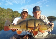 Cristian Mammi 's Fly-fishing Photo of a Peacock Bass – Fly dreamers 