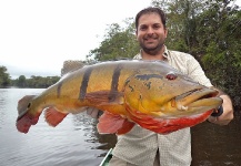 Cristian Mammi 's Fly-fishing Photo of a Peacock Bass – Fly dreamers 