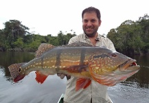 Cristian Mammi 's Fly-fishing Pic of a Peacock Bass – Fly dreamers 