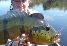 Cristian Mammi 's Fly-fishing Picture of a Peacock Bass – Fly dreamers 