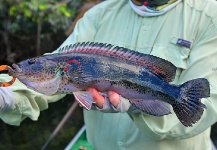 Sweet Fly-fishing Pic by Cristian Mammi 