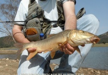  Foto de Pesca con Mosca de Barbo compartida por Antonio Luis Gahete – Fly dreamers