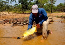 Golden Dorados