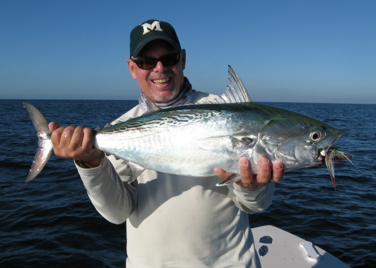 False Albacore caught off Boca Grande fall of 2012.