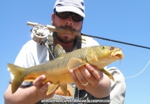  Captura de Pesca con Mosca de Barbel por Antonio Luis Gahete – Fly dreamers