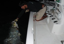  Fotografía de Pesca con Mosca de Tarpón por Martin Ruiz – Fly dreamers 