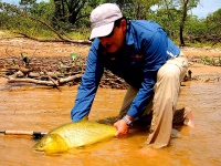 Foto de pesca con mosca