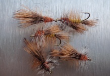 Mario Capovía Del Cet 's Fly-tying for Rainbow trout - Photo – Fly dreamers 