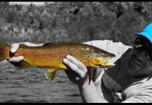 Fly-fishing Image by Matias Curuchet 