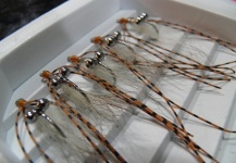 Sergio Salvatore 's Fly-tying for Bonefish - Photo – Fly dreamers 