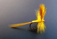 Mario Capovía Del Cet 's Interesting Fly-tying Pic – Fly dreamers 