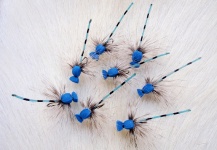  Imagen de atado de moscas por Mario Capovía Del Cet – Fly dreamers