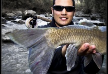 Arturo Monetti 's Fly-fishing Picture of a Barbel – Fly dreamers 