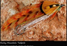 Fly-tying for Rainbow trout - Picture by Darren MacEachern 
