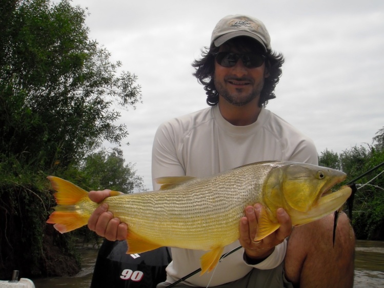 Pesca de dorado con mosca en el Paraná