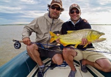 Dorados de primavera