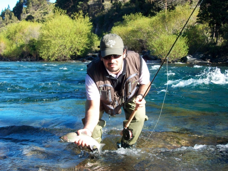 Truchita en el Rio Chimehuin, Junín de los Andes, Patagonia Argentina