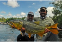 Fly-fishing Image of Golden Dorado shared by Alejandro Bianchetti – Fly dreamers