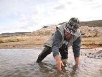 Fly fishing picture