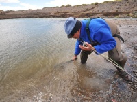 Fly fishing picture