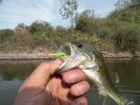 Foto de pesca con mosca