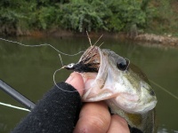 Foto de pesca con mosca