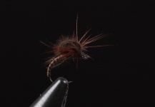 Zeljko Babic 's Interesting Fly-tying Pic – Fly dreamers 